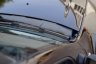 Накладка в проем стеклоочистителей Renault Duster с 2012- PT Group